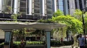Arrêt de bus vert